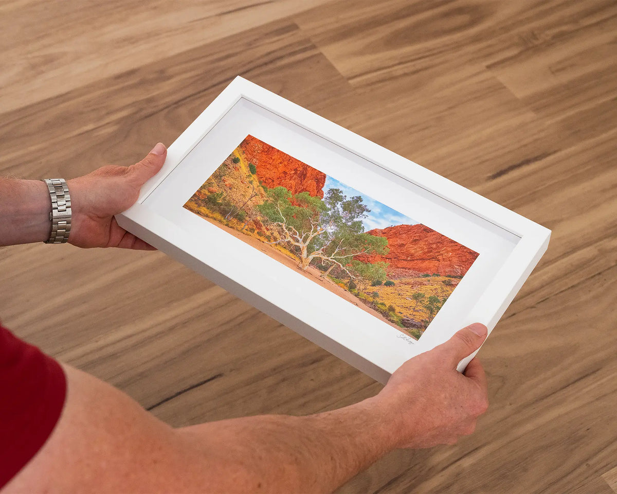 In The Middle. Ghost gum Simpson Gap, Northern Territory, small print with white frame, held in hands.