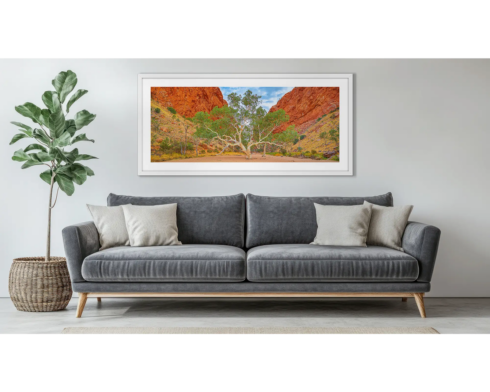 In The Middle. Ghost Gum, Simpson Gap, Northern Territory, Australia.