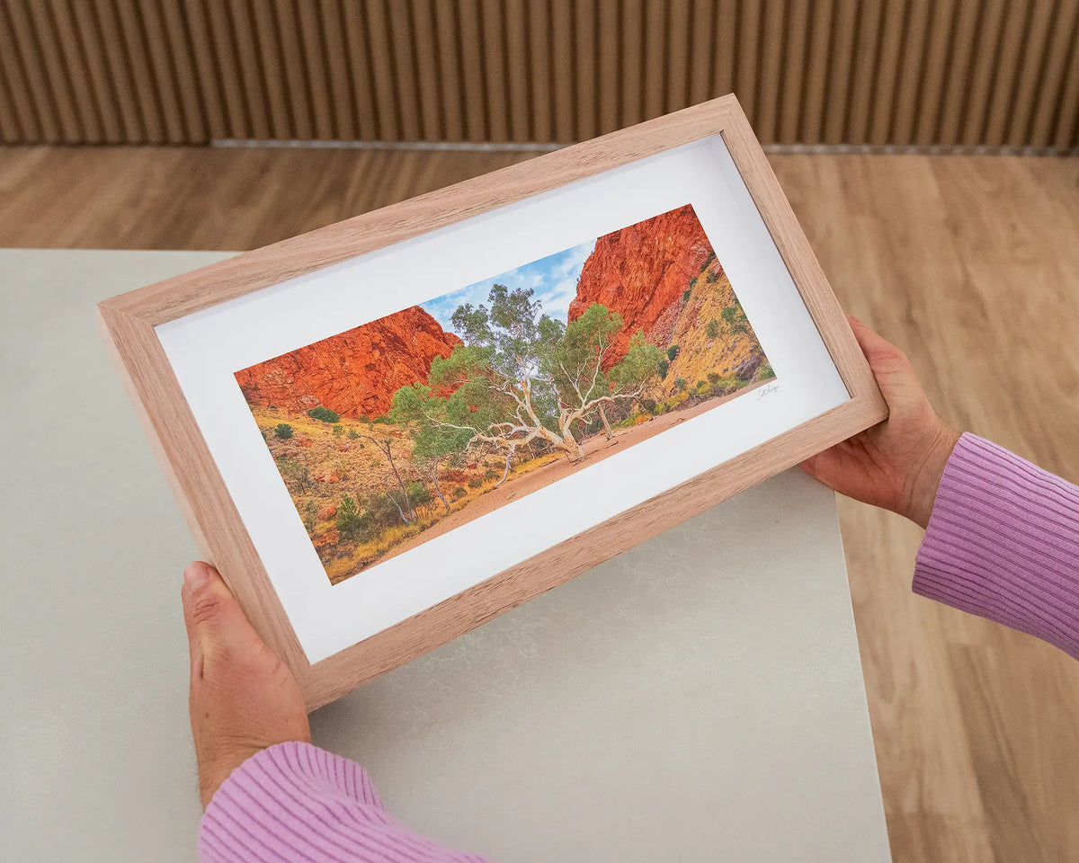 In The Middle. Small print with timber frame of a ghost gum, Northern Territory, held in hands.