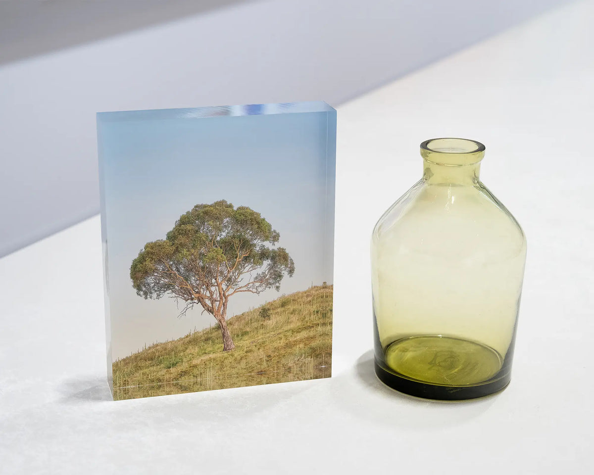 Incline. Acrylic block of a Canberra gum tree, on desk styled with a small vase.