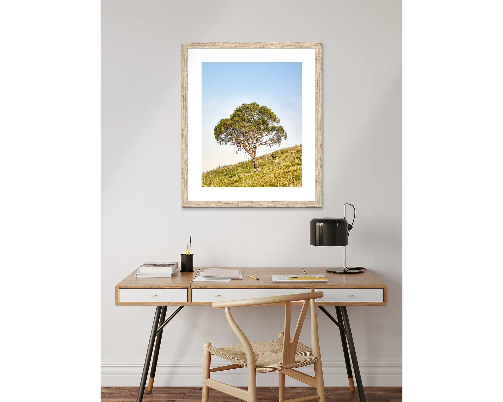 Incline - Gum tree on hill at Urambi Nature Reserve, Australian Capital Territory.