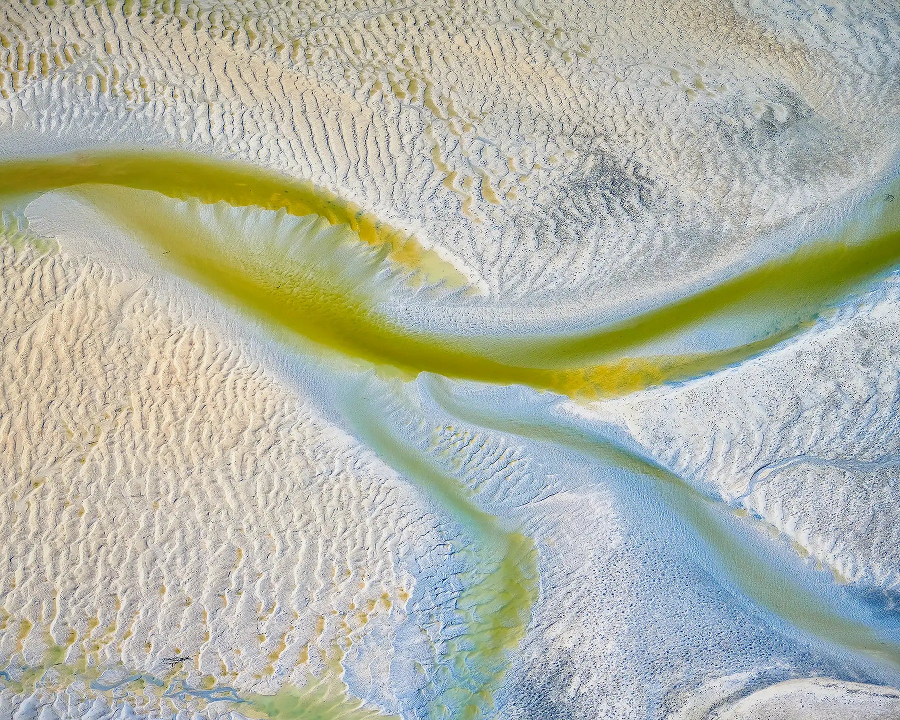 Jellyfish - Tidal patterns Willie Creek, The Kimberley, Western Australia.