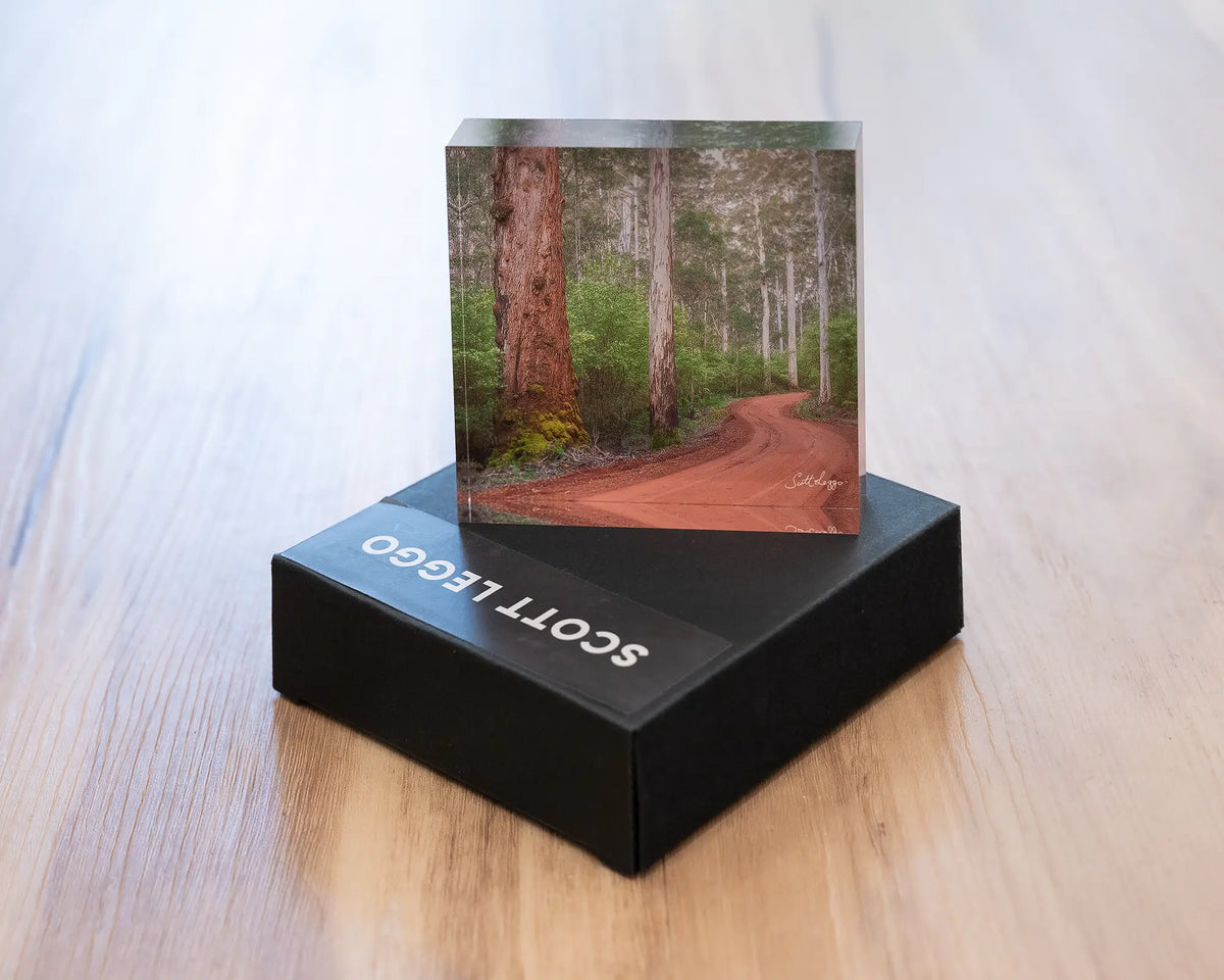 Karri Explorer. Acrylic block of Karri Forest, south west Australia, styled on a gift box.