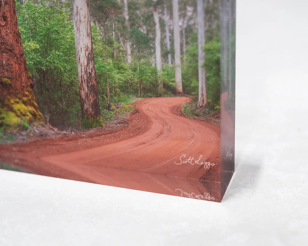 Karri Explorer. Acrylic block of Karri Forest, Western Australia, close-up detail.