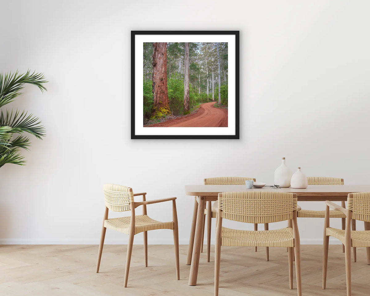 Karri Explorer. Photographic wall art print of a Karri forest, with a black frame hung in a dining room. 