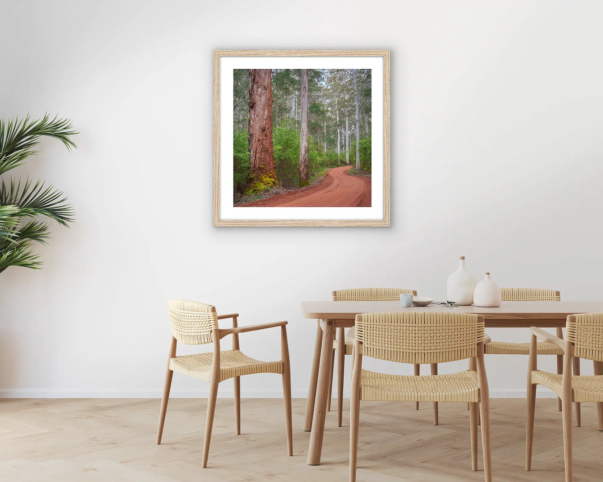 Karri Explorer. Photographic wall art print of a Karri forest, with a white frame hung in a dining room. 