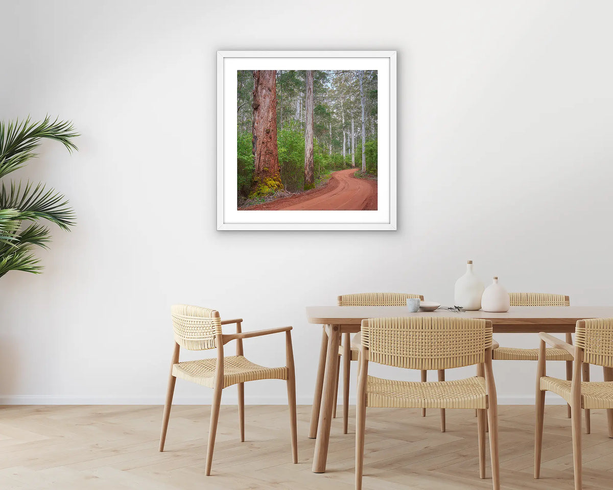 Karri Explorer. Photographic wall art print of a Karri forest, with a white frame hung in a dining room. 
