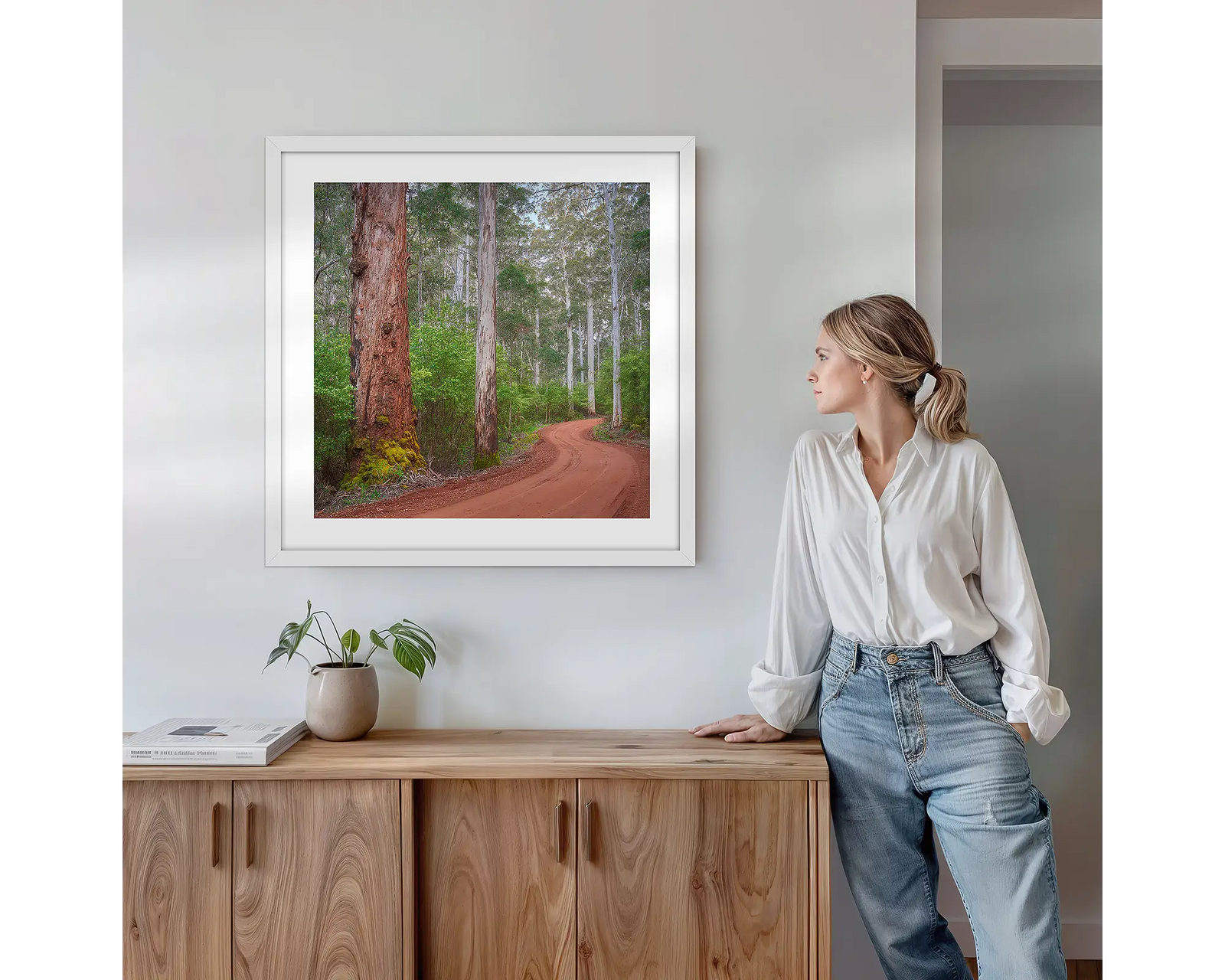 Road through Karri forest, Warren National Park, Western Australia.
