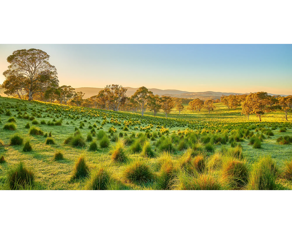 Koomooloo farm, Captains Flat, New South Wales, Australia.