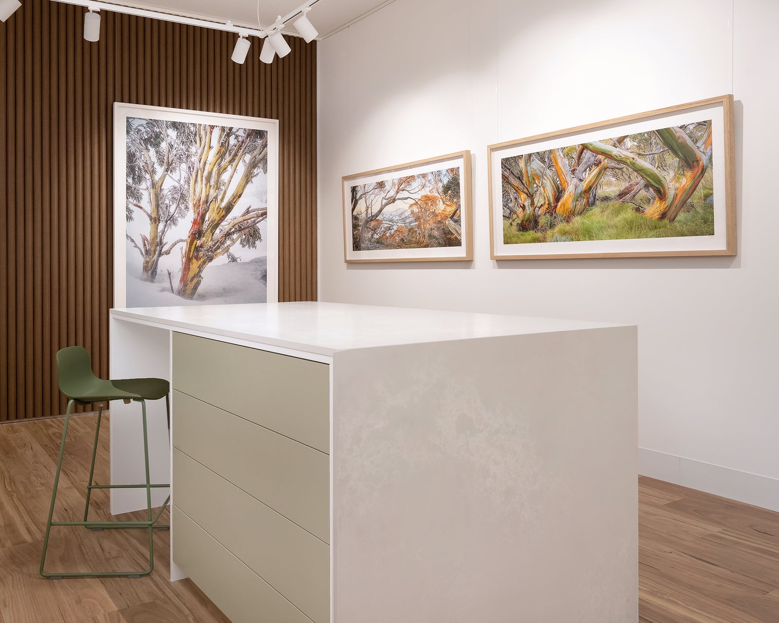 Framed wall art print of colourful snow gums sitting amongst native grasses in Kosciuszko National Park. 