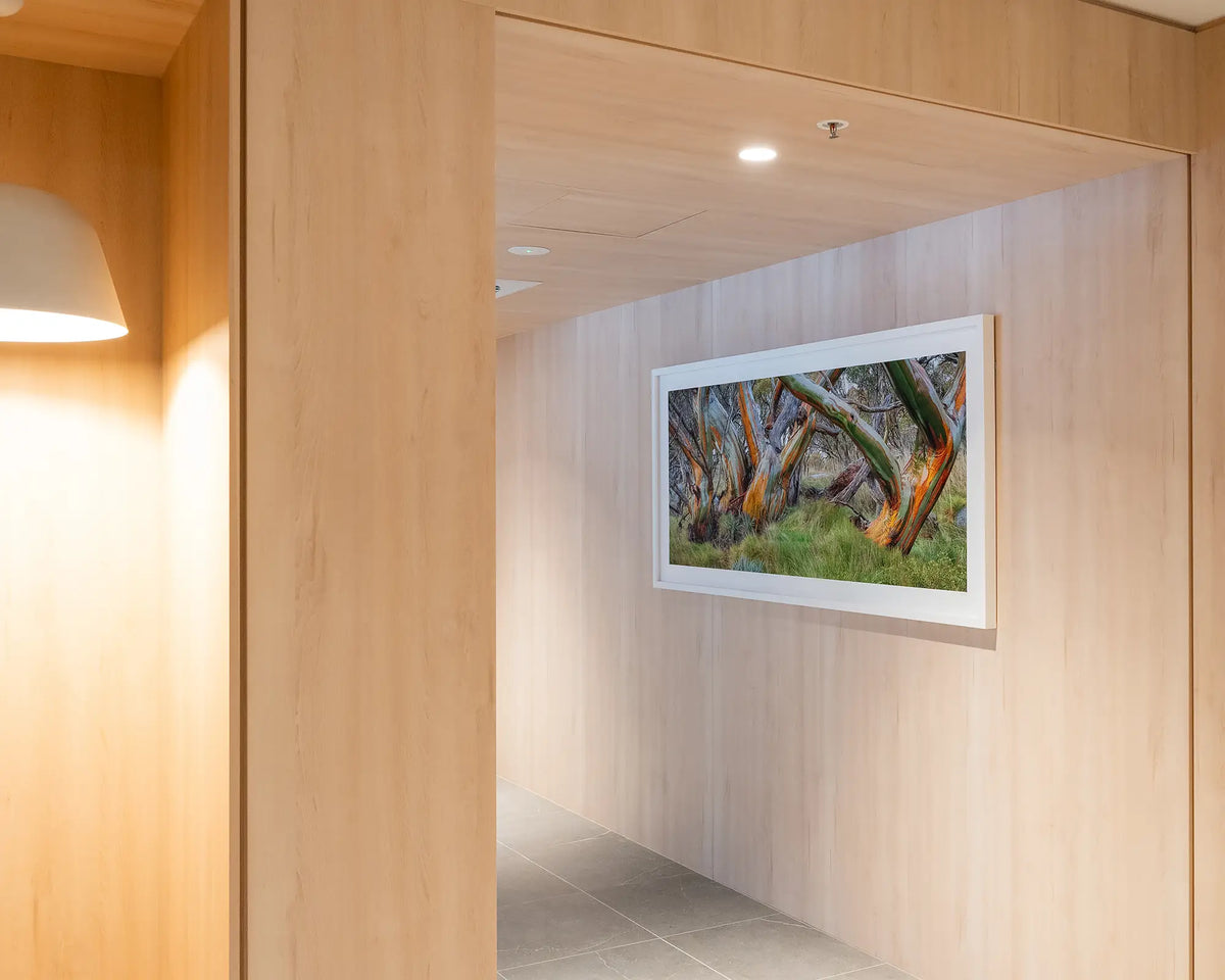 Kosi Colours. Colourful snow gums wall art with white frame, hung in modern foyer.