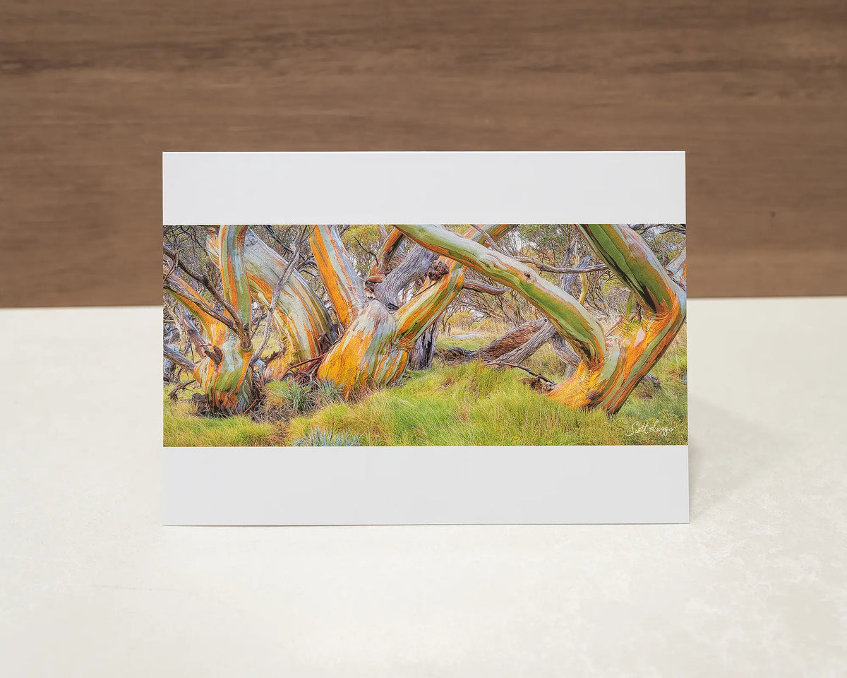 Kosi Colours greeting card of colourful snow gums in Kosciuszko National Park, sitting on desk.