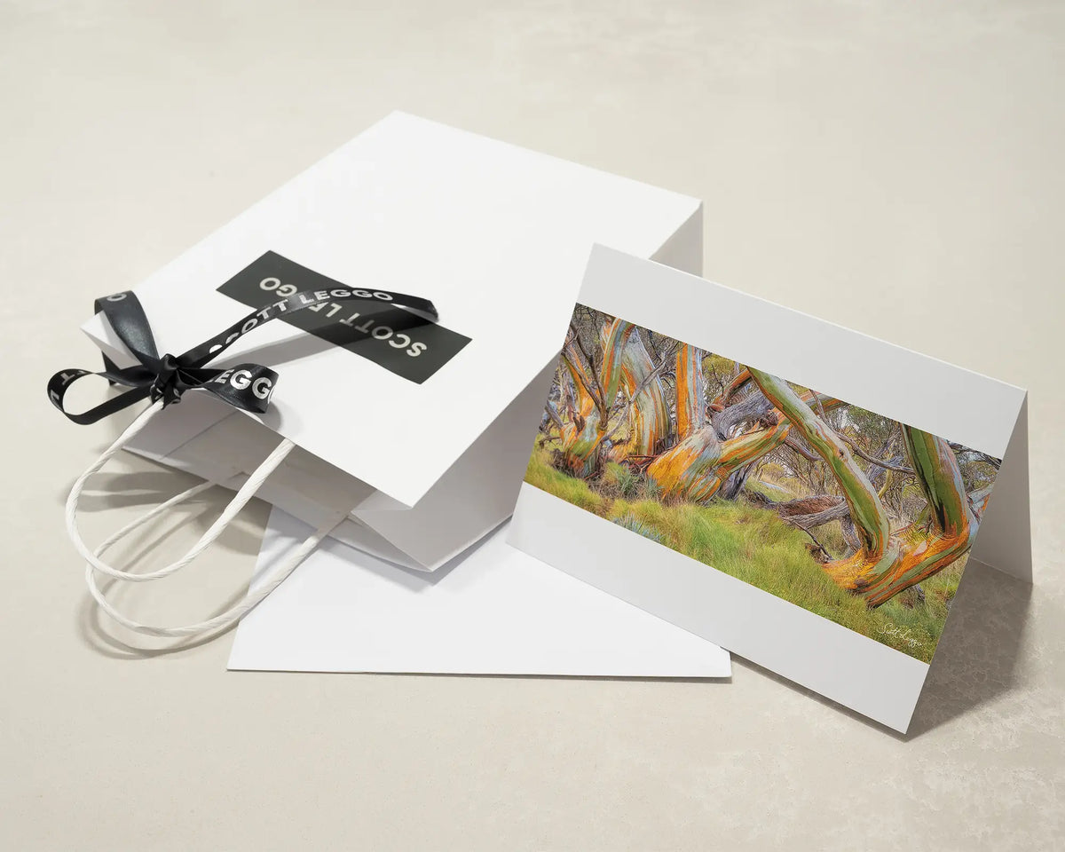 Kosi Colours greeting card of colourful snow gums in Kosciuszko National Park, with Scott Leggo gift bag.