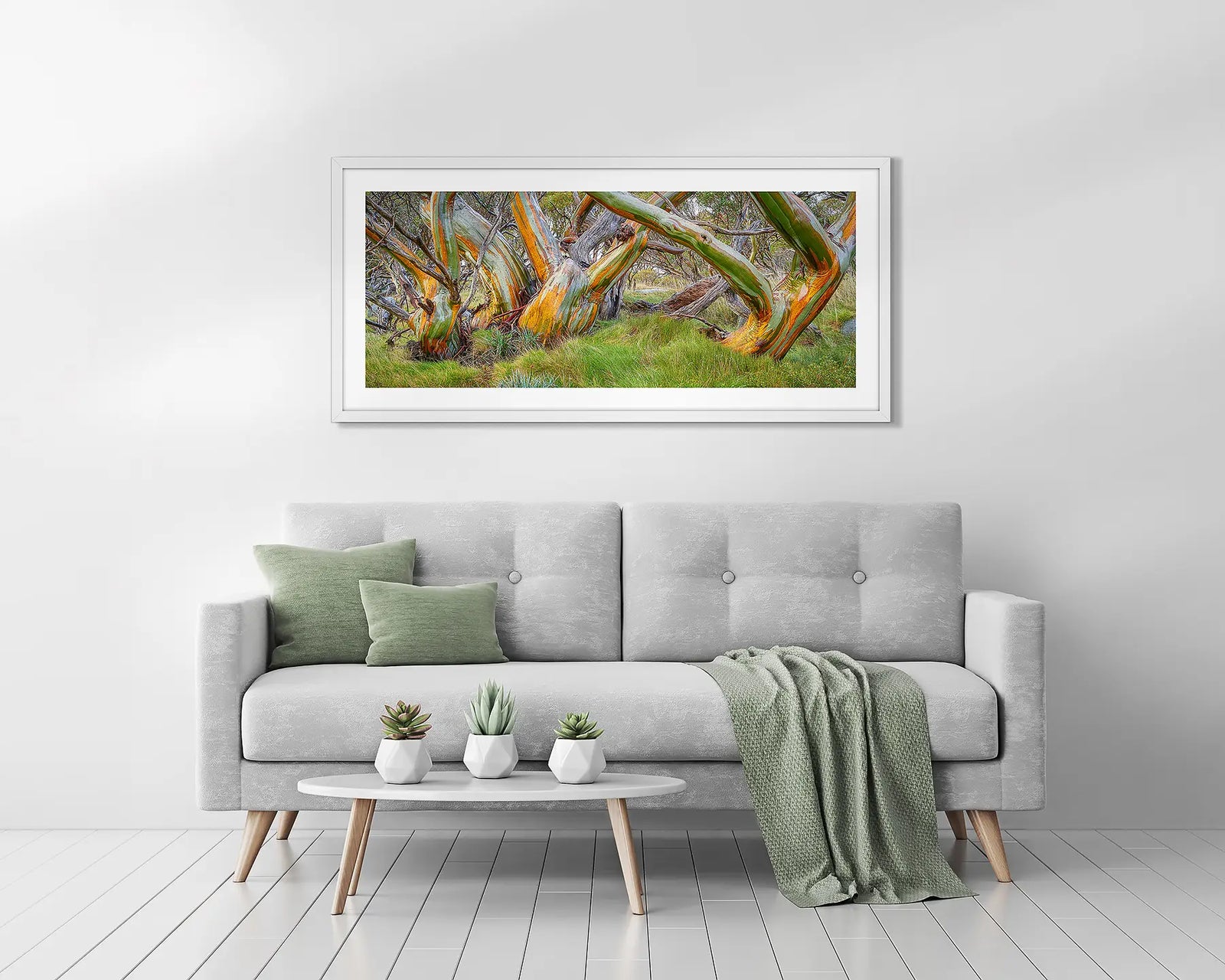 Kosi Colours - Snow gums with colourful ark, Kosciuszko National Park, New South Wales, Australia.