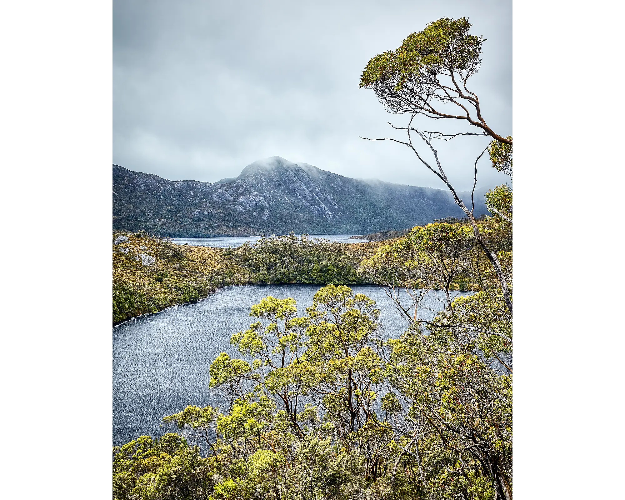 Lake View - Cradle Mountain Lake St Claire, Tasmania, Australia.