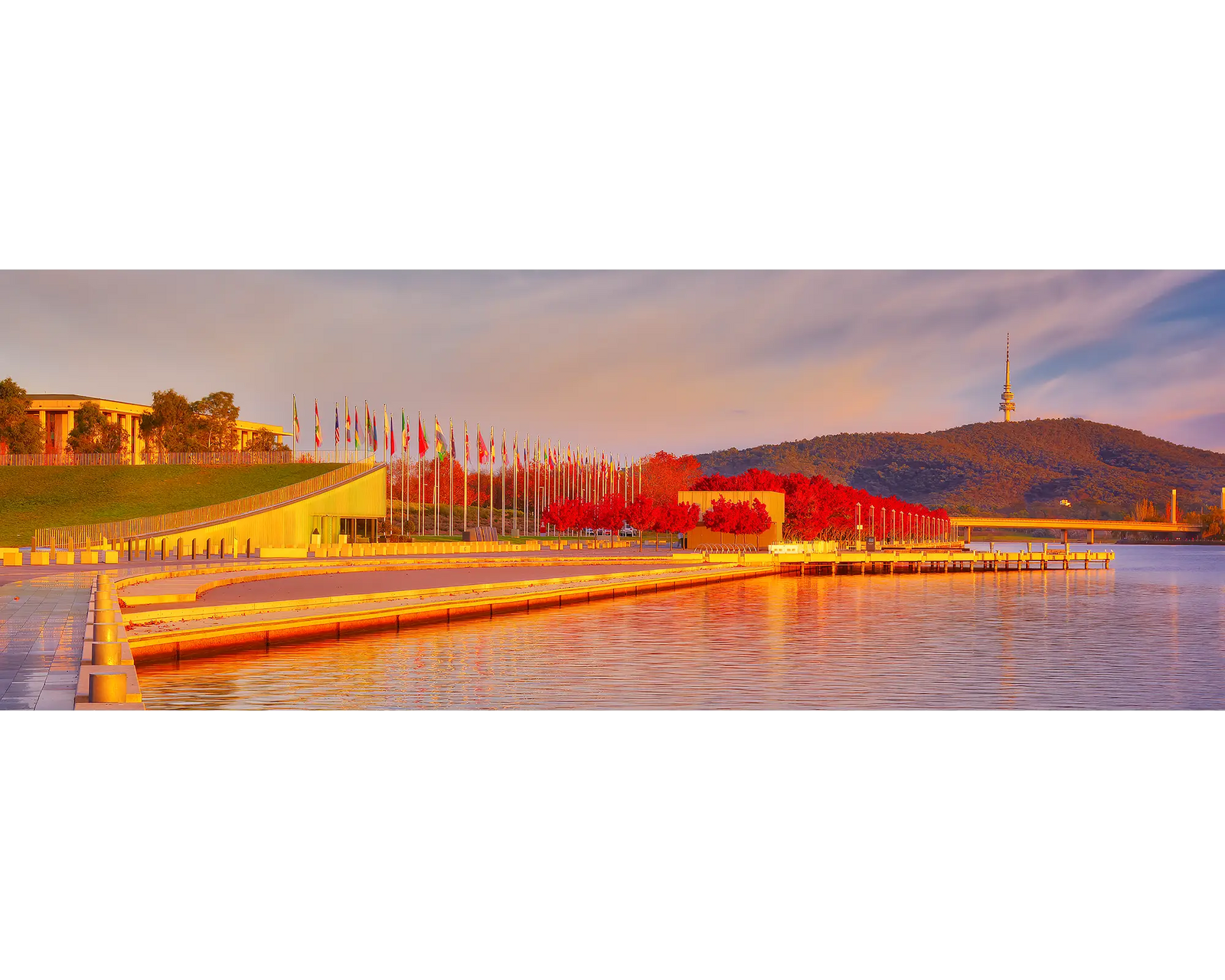 Red autumn trees beside Lake Burley Griffin at sunrise, Canberra, ACT.