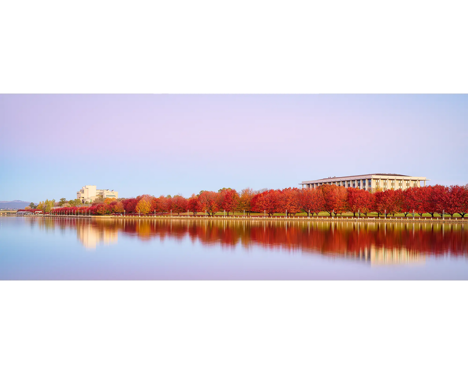 Lakeside Hues. Red autumn trees beside Lake Burley Griffin, National Library and High Court, Canberra.
