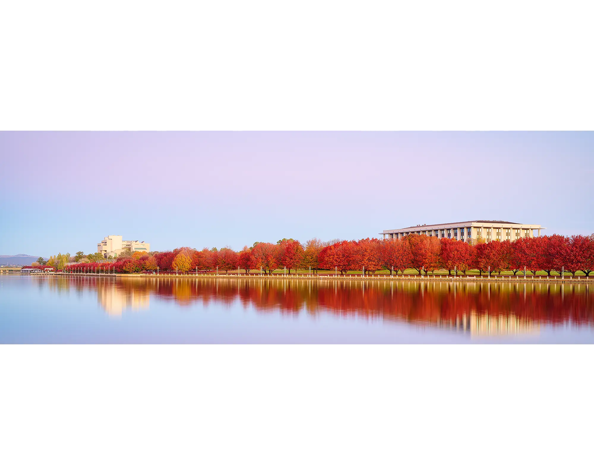 Lakeside Hues. Red autumn trees reflecting in Lake Burley Griffin, Canberra.