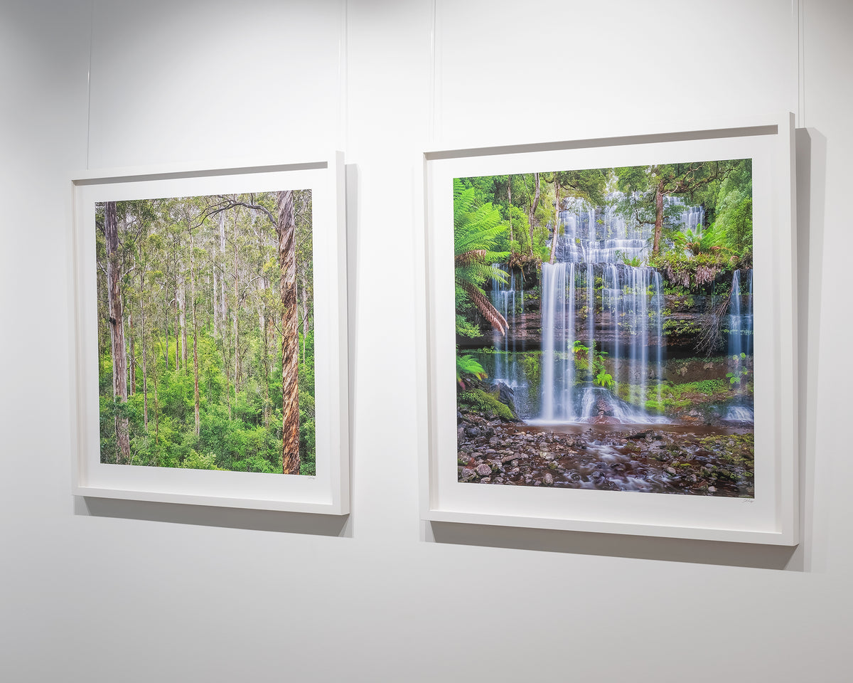 Layers. Russell Falls Mount Field National Park, Tasmania, hung in gallery with 'Aloft' artwork.
