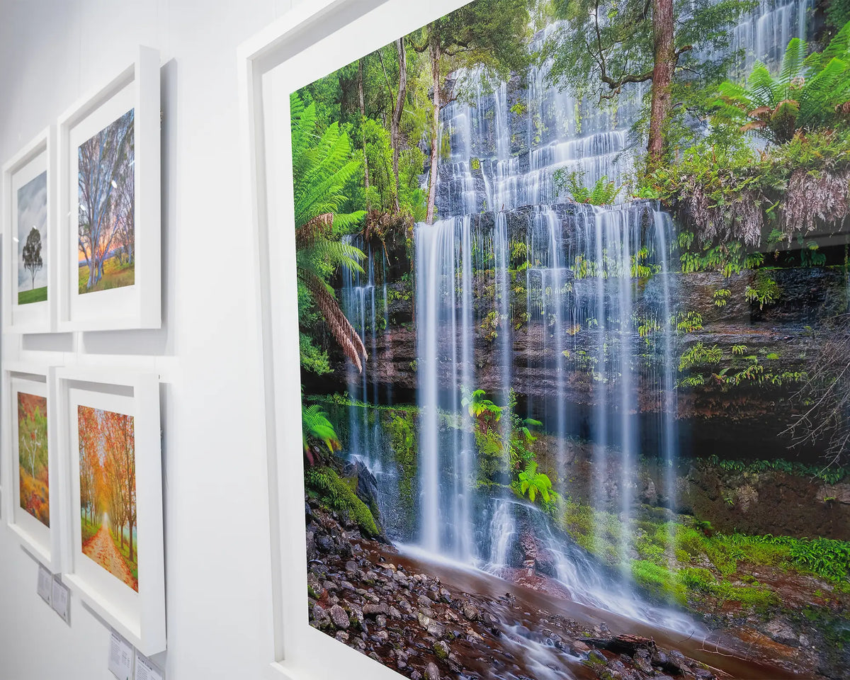 Layers. Russell Falls Mount Field National Park, Tasmania, partial image showing detail, hung on gallery wall.