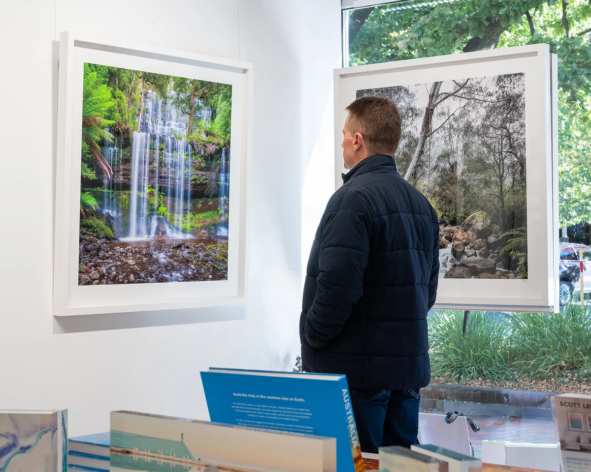 Layers. Russell Falls Mount Field National Park, Tasmania, with white frame admired in gallery.