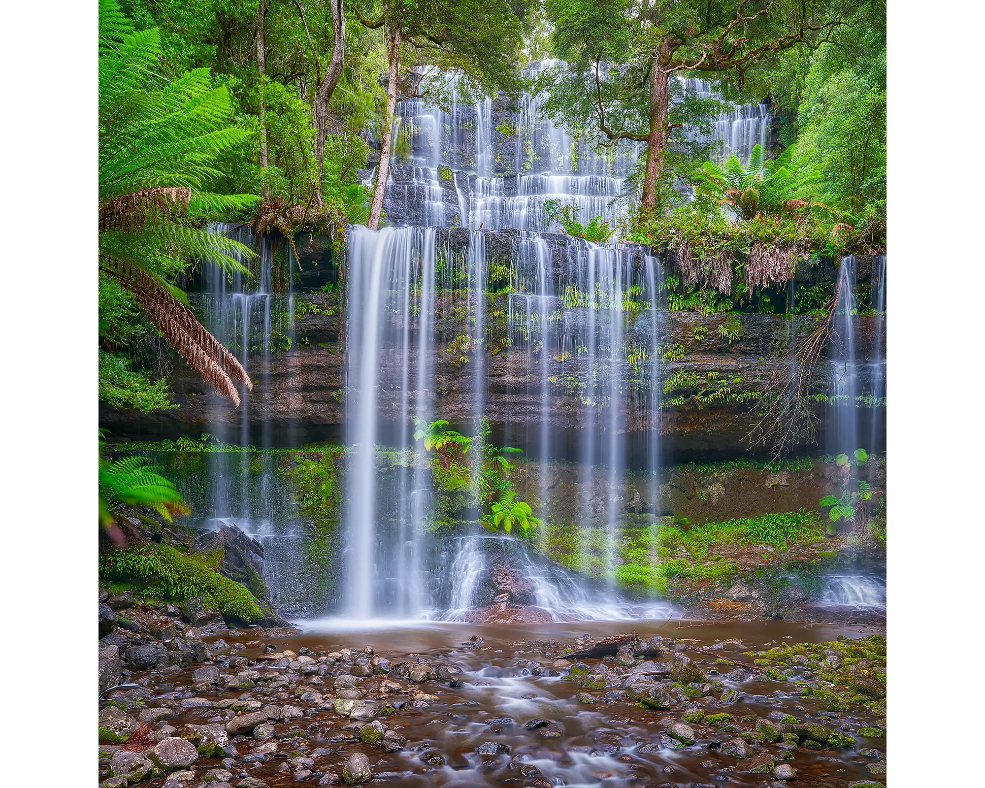 Layers. Russell Falls, Mount Field National Park, Tasmania.