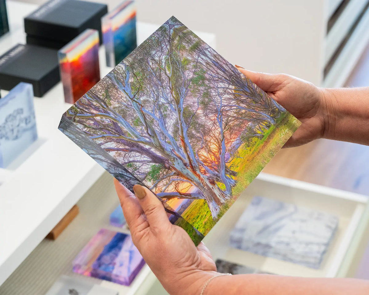 Leaning In. Acrylic block of a Murray River sunrise through gum trees, held in hands.