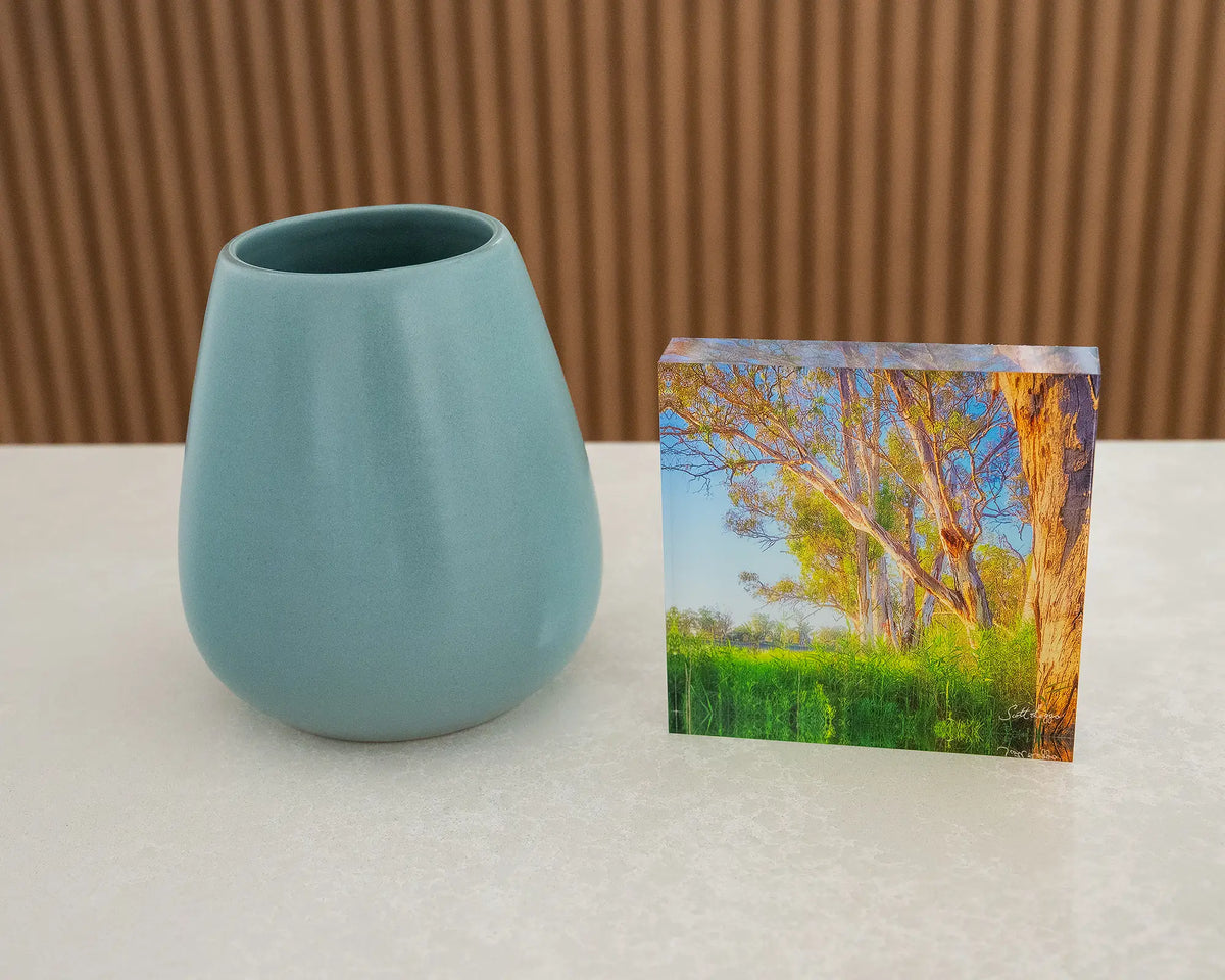 Leaning In. Acrylic block of Murray River sunrise through gum trees, on desk styled with a small vase. 