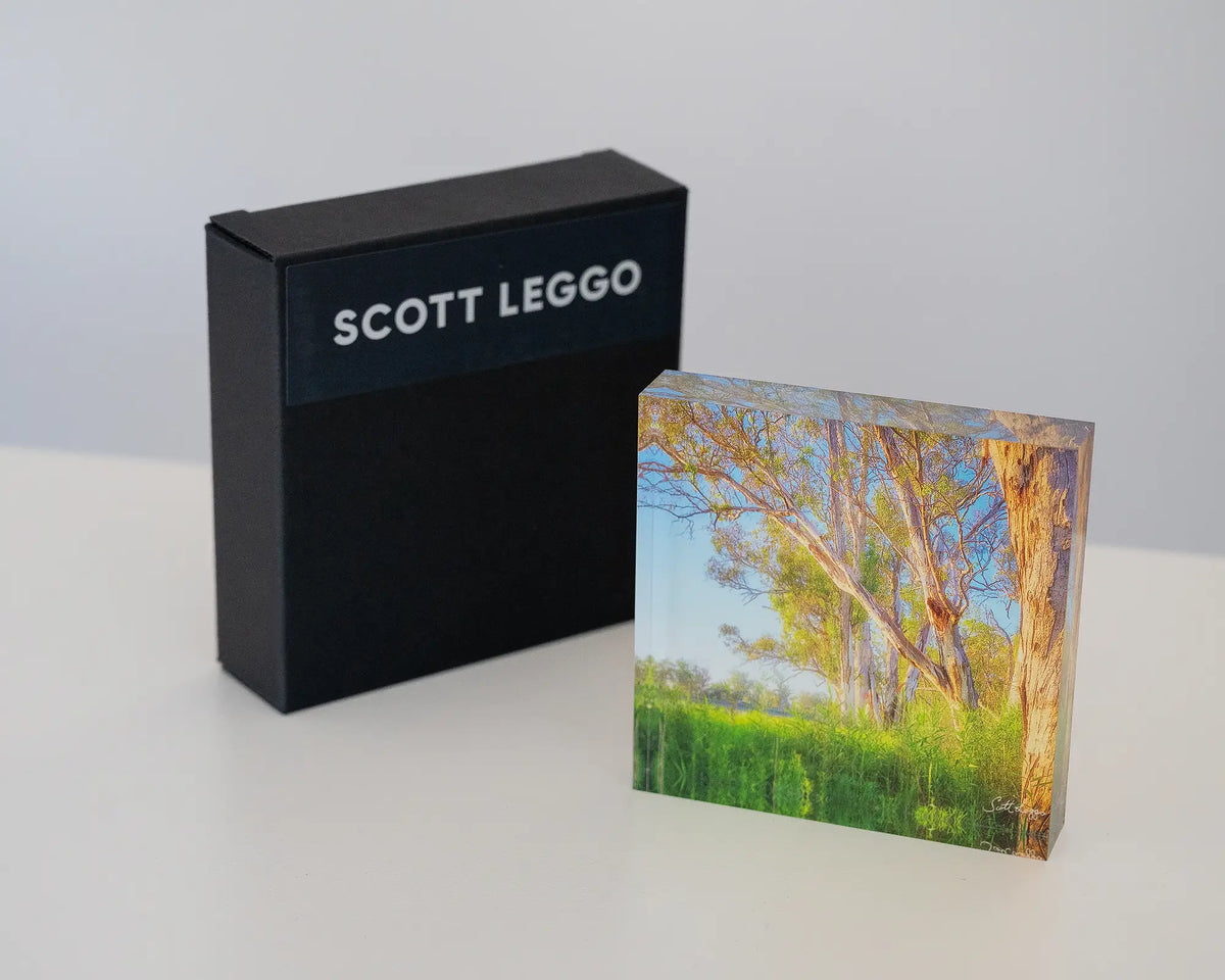 Leaning In. Acrylic block of a Murray River sunrise through gum trees, on desk with gift box.