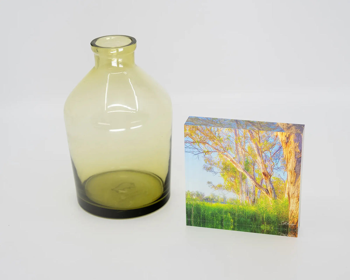Leaning In. Acrylic block of a Murray River sunrise through gum trees, styled with a small vase.