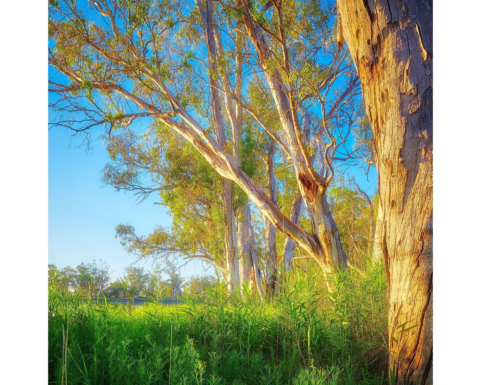 Leaning In acrylic block - Murray River artwork. 