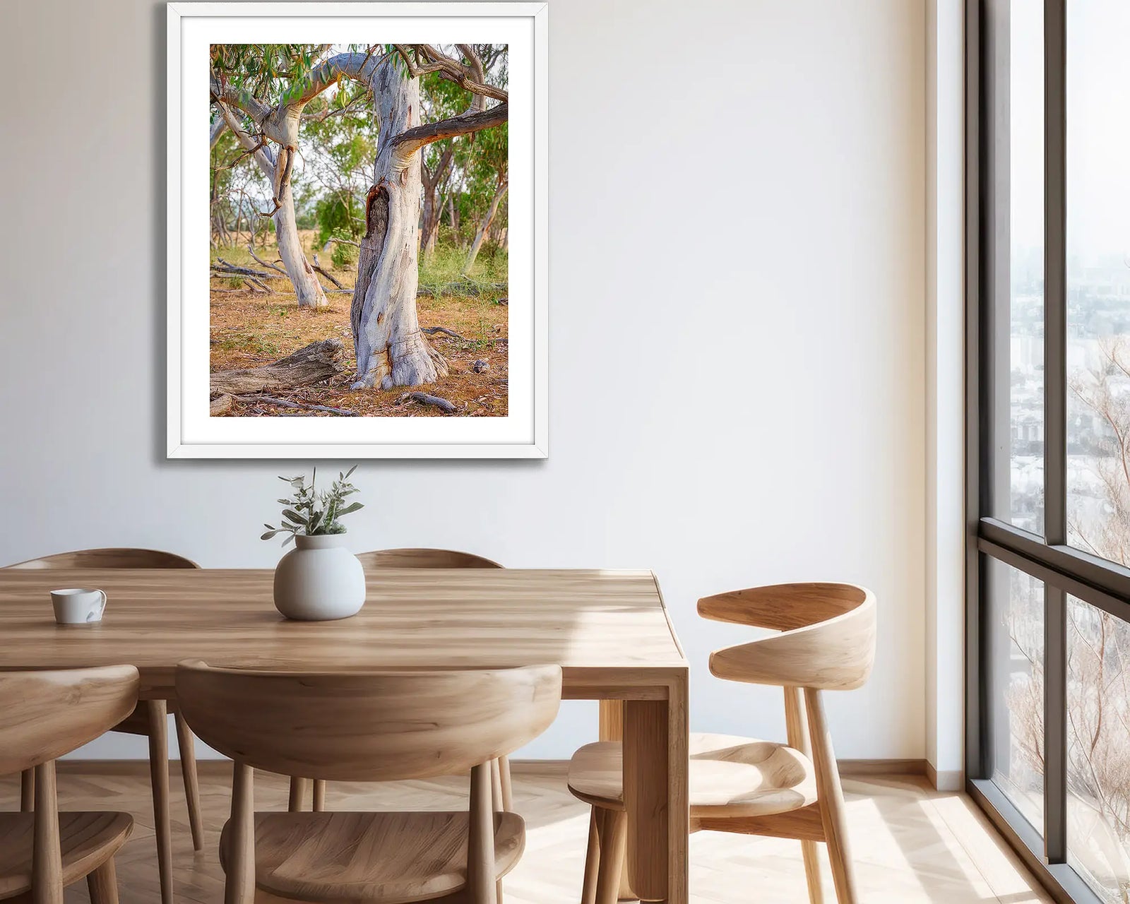 Remnant snow gum with twisted trunk in Aranda bushland, Canberra.