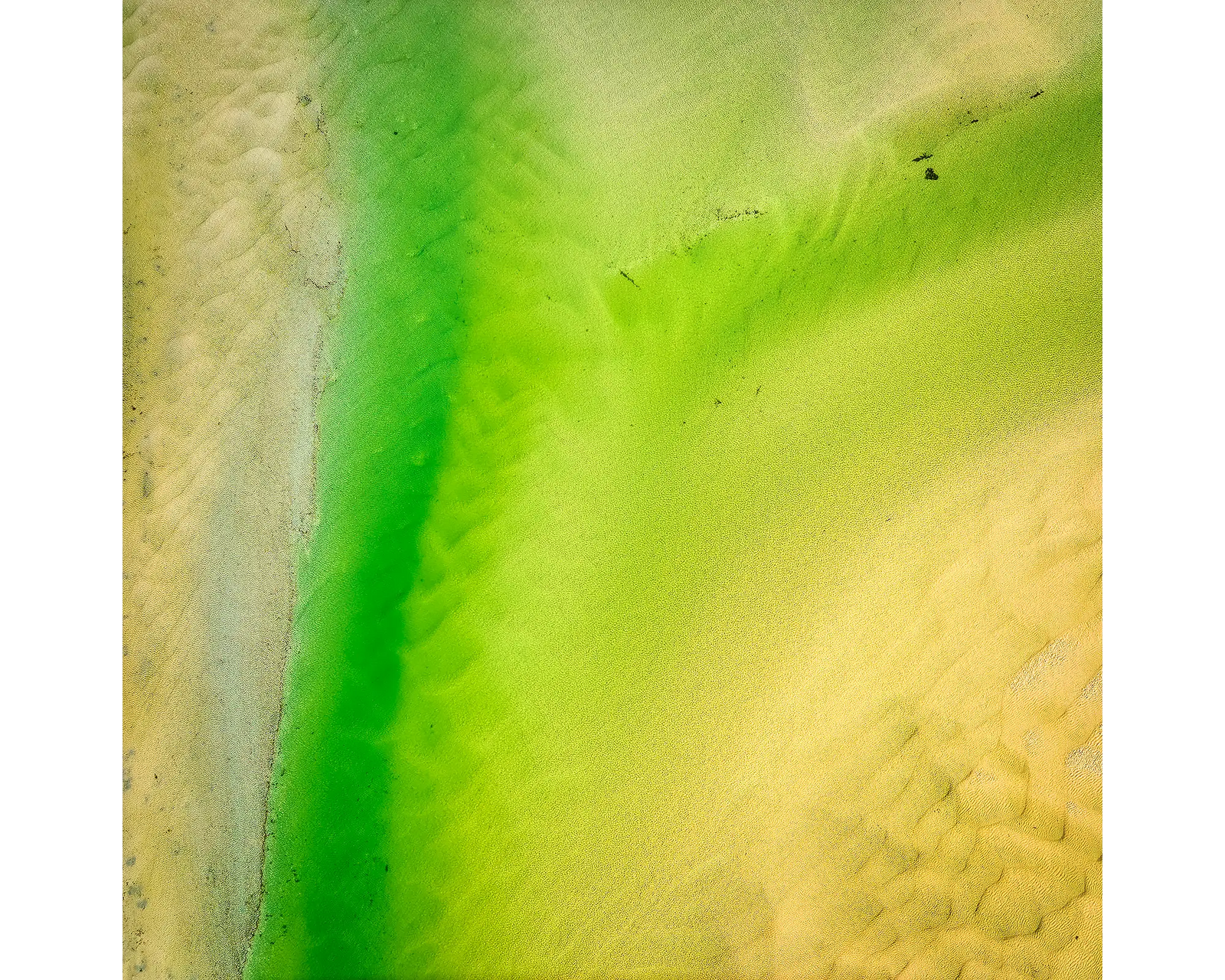 Lemon and lIme. Sand Patterns in Durras Lake, New South Wales, South Coast. 