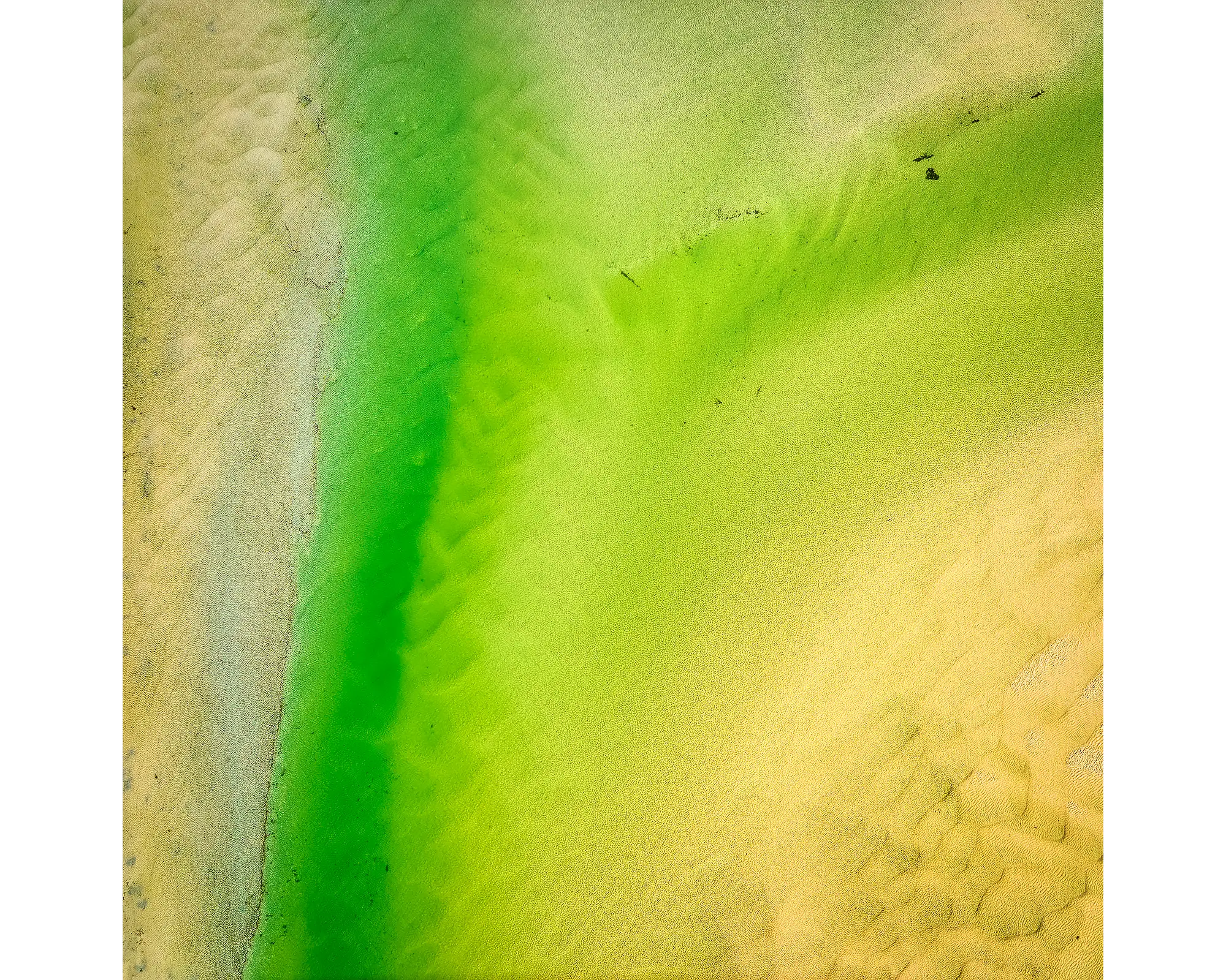 Lemon and lIme. Sand Patterns in Durras Lake, New South Wales, South Coast. 