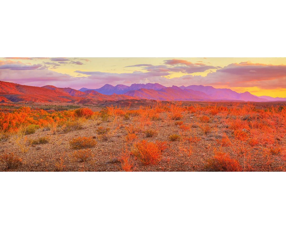 Lighting The Flinders. Sunset over the Flinders Ranges, South Australia.