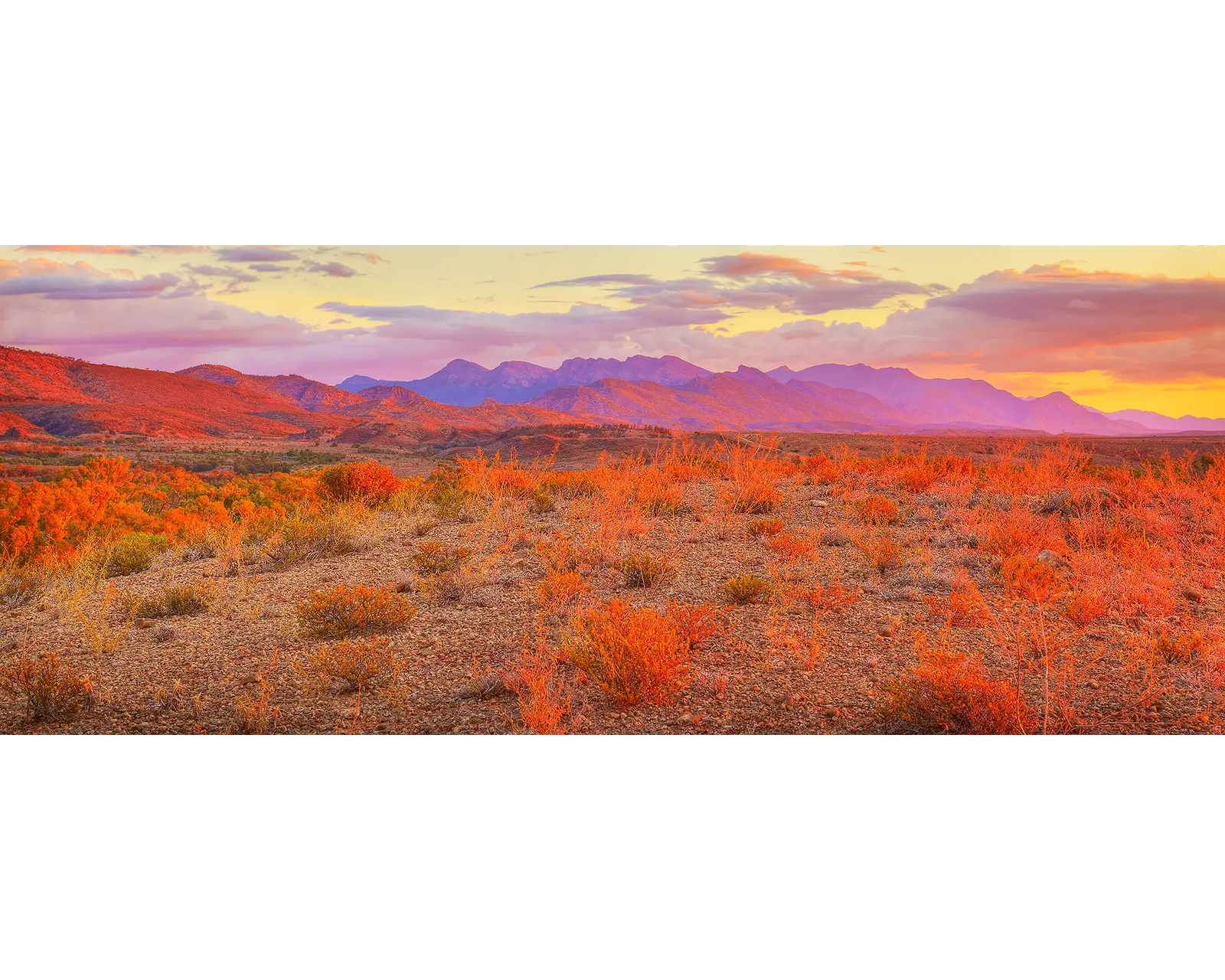 Lighting The Flinders. Sunset over the Flinders Ranges, South Australia.