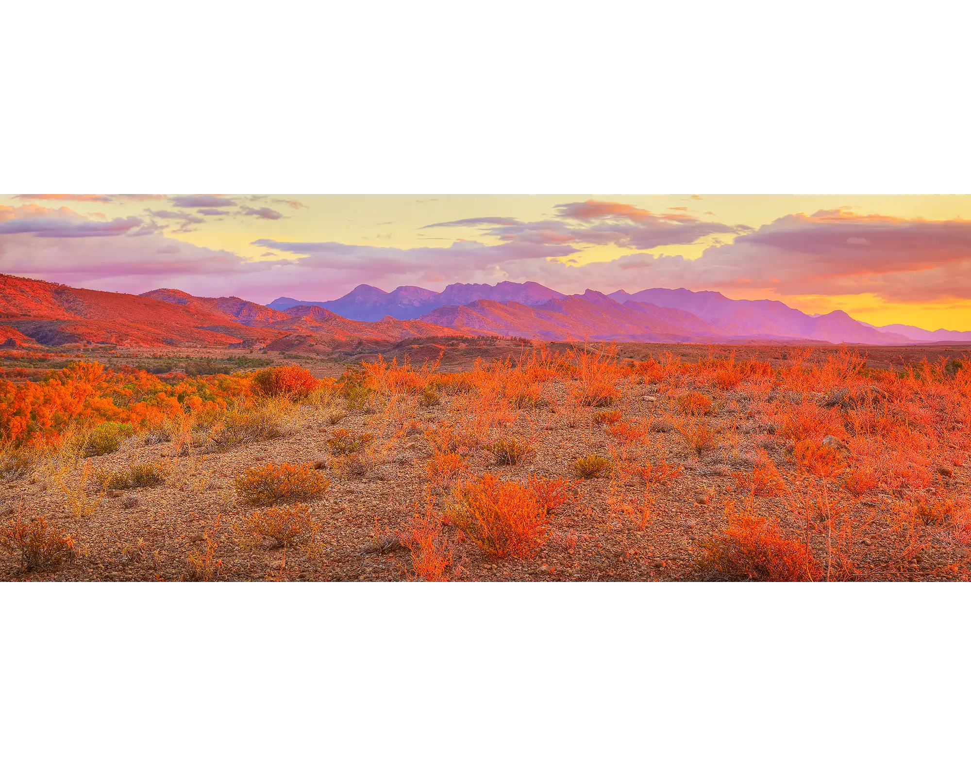 Lighting The Flinders. Sunset over the Flinders Ranges, South Australia.