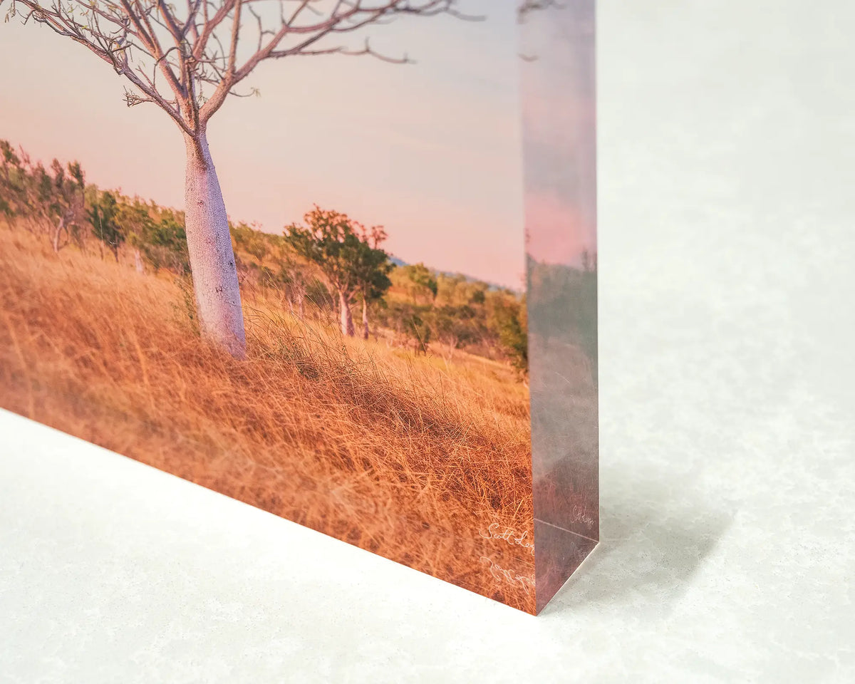 Little One. Acrylic block of a Boab tree, the Kimberley, close-up corner image showing 3D effect.
