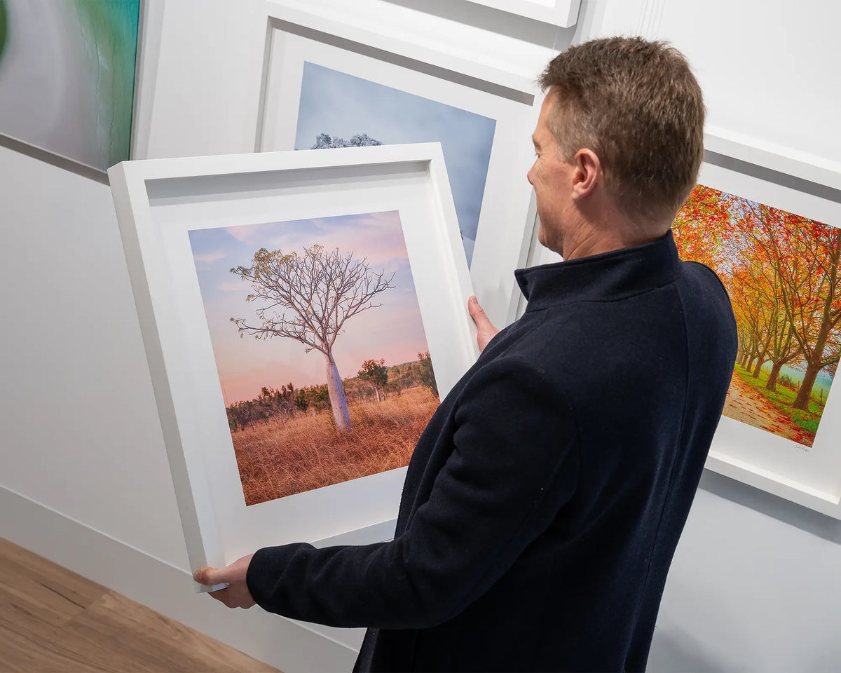 Little One. Boab tree, East Kimberley, 60cm print with white frame held in hands.