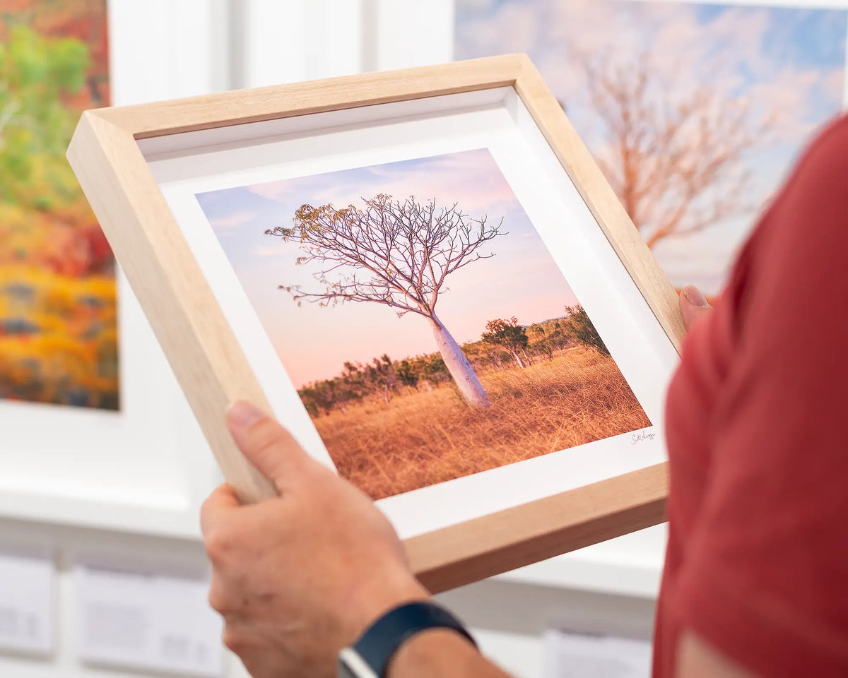 Little One Boab Tree small framed print with Tassie Oak frame.