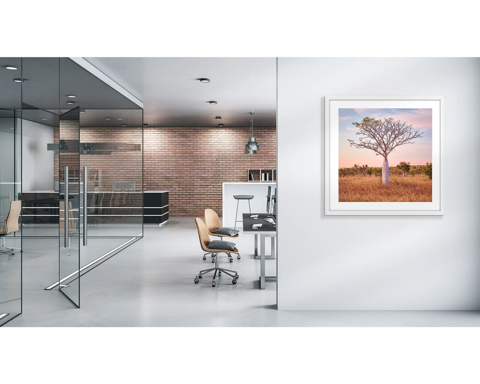 Boab tree at sunset, East Kimberley, Western Australia.