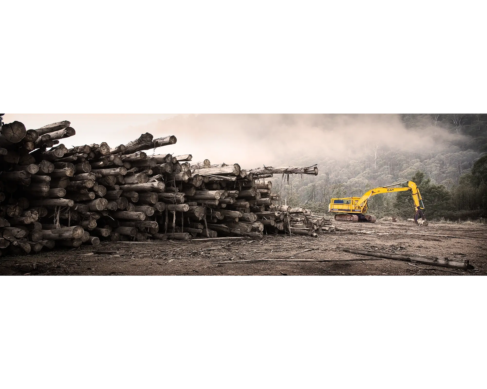 Logging trees and machinery, Buckland Valley, Victoria.
