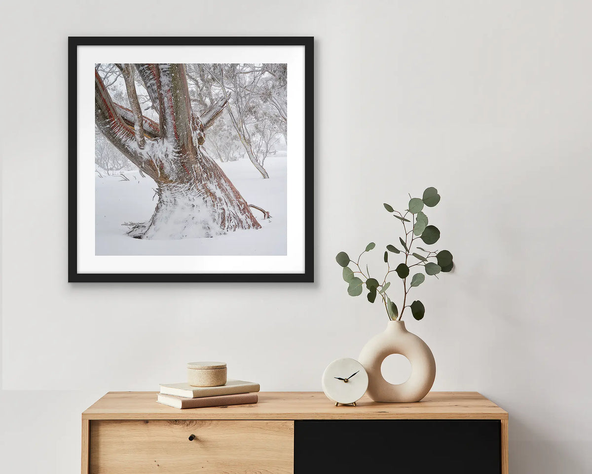 Longevity. Framed wall art print of a snow gum in snow, with a black frame and hung above a side table.