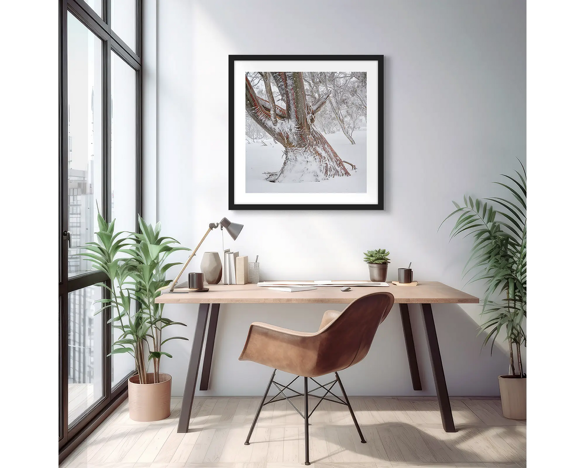 Longevity. Framed wall art print of a snow gum in snow, with a black frame and hung in a light filled apartment. 