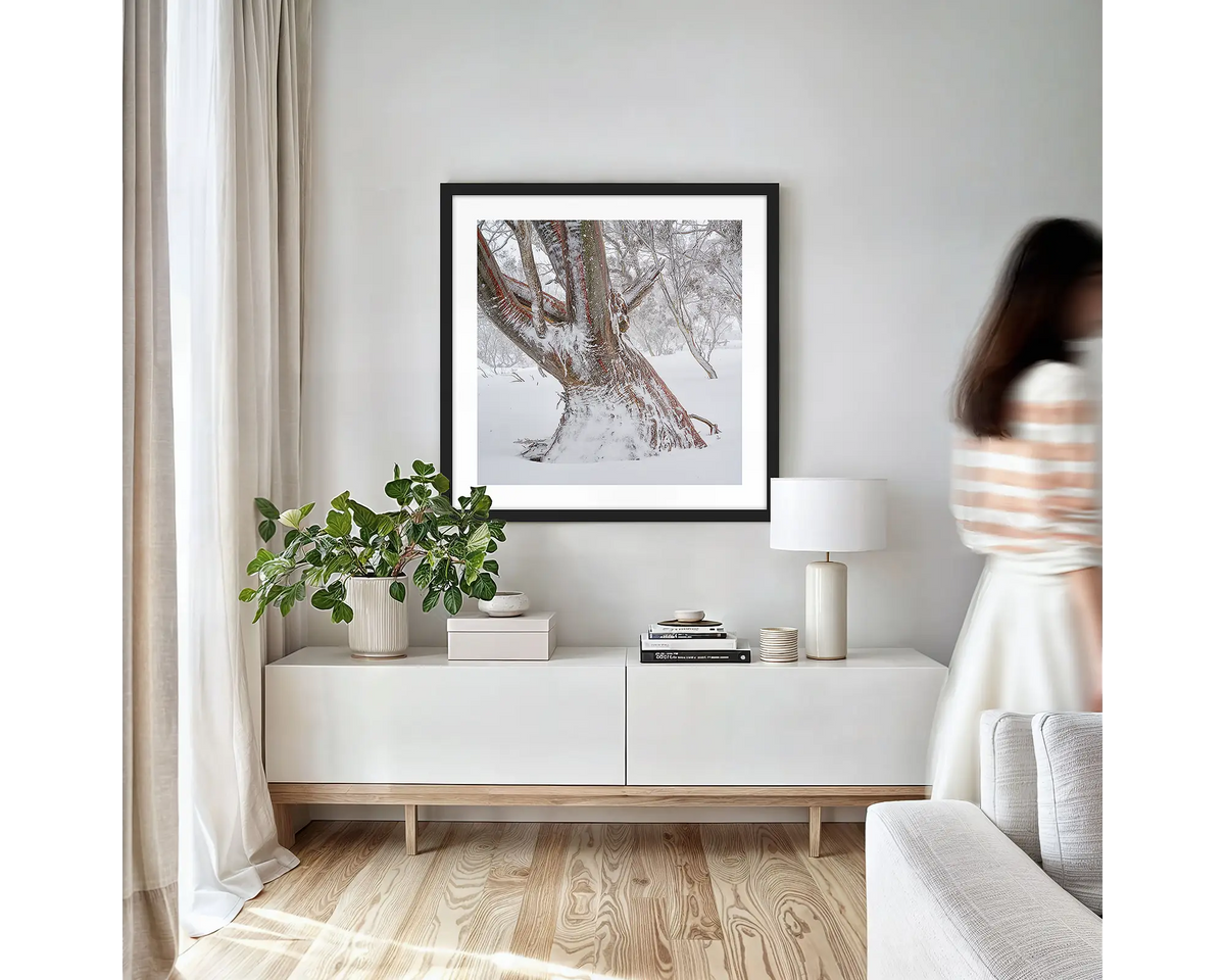 Longevity. Framed wall art print of a snow gum in snow, with a black frame and hung in a light filled lounge room. 