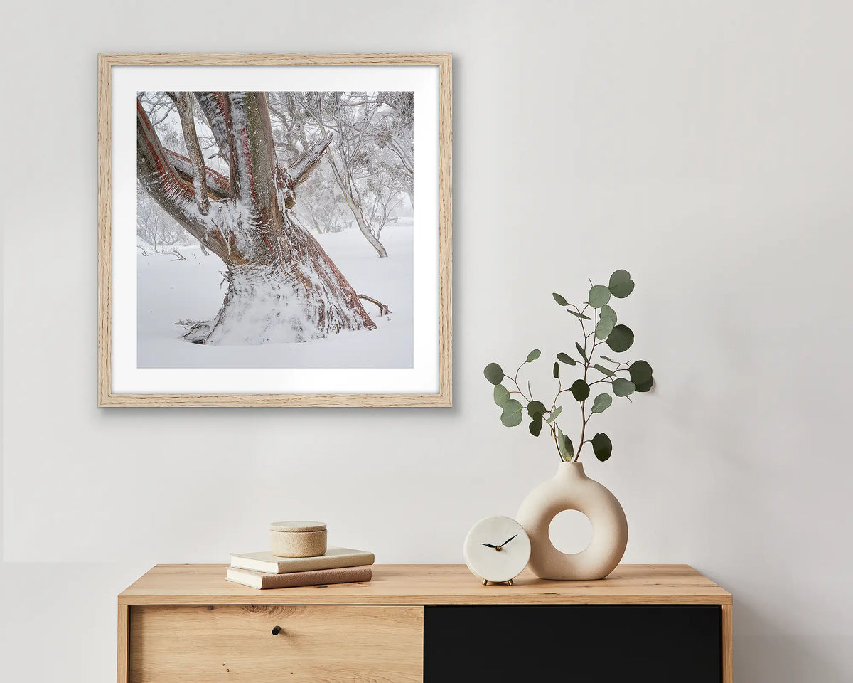 Longevity. Framed wall art print of a snow gum in snow, with a timber frame and hung above a side table.