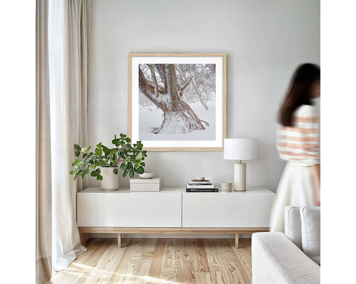 Longevity. Framed wall art print of a snow gum in snow, with a timber frame and hung in a light filled lounge room. 