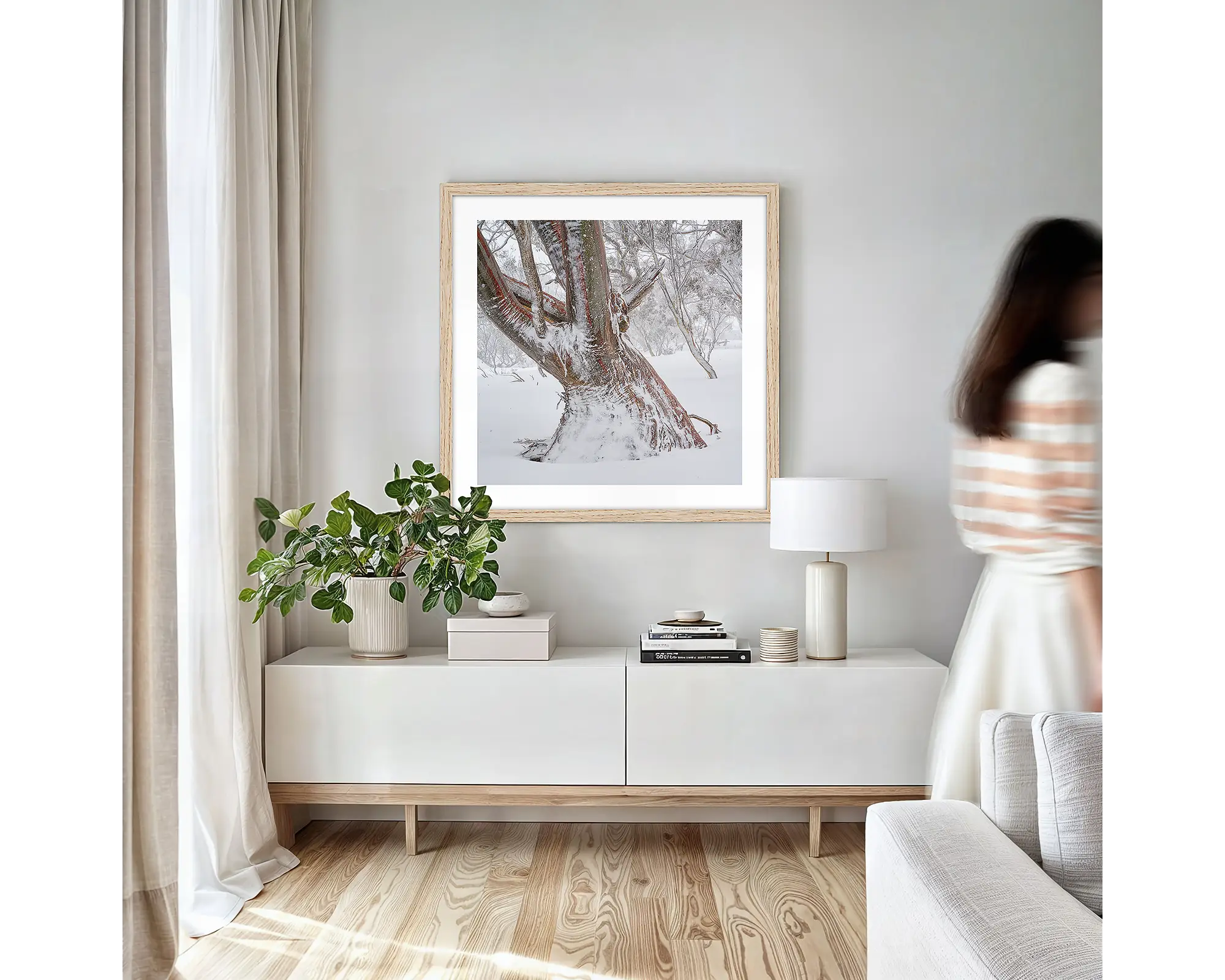 Longevity. Snow Gum trunk in winter snow.