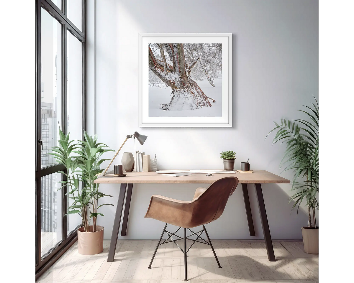 Longevity. Framed wall art print of a snow gum in snow, with a white frame and hung in a light filled apartment. 