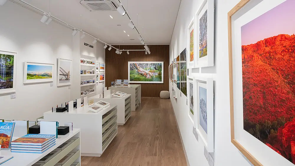 Looking into the Scott Leggo Gallery with artworks on the walls.